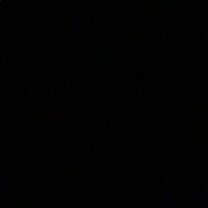 Meet your Posher, Malachi